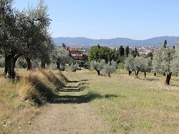 Comfortable Holiday Home in Pistoia With Pool