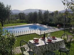 Comfortable Holiday Home in Pistoia With Pool