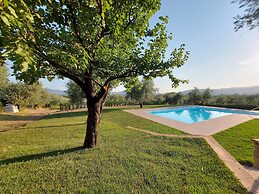 Comfortable Holiday Home in Pistoia With Pool
