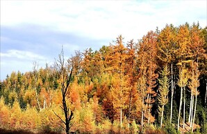 Luxurious Villa in Houffalize With Sauna