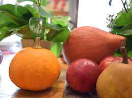 Duplex Chalet With Sauna and Terrace