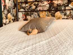 Spacious Villa With Private Pool in Theux