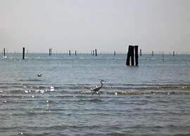 Pet-friendly Getaway With Pool