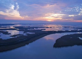 Pet-friendly Getaway With Pool