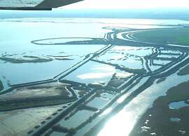 Pet-friendly Getaway With Pool