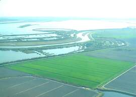 Pet-friendly Getaway With Pool