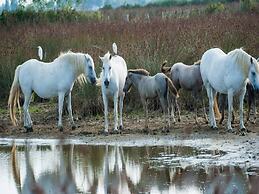 Pet-friendly Getaway With Pool