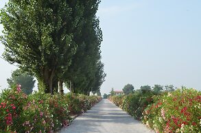 Pet-friendly Getaway With Pool