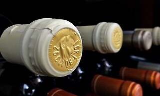 Pet-friendly Getaway With Pool