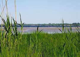 Attractive Apartment in Klütz near Sea