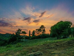 Holiday Home Near Sienna in the Hills, Swimming Pool and Garden