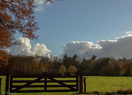 Luxury Home in Gedinne With Bubble Bath and Sauna
