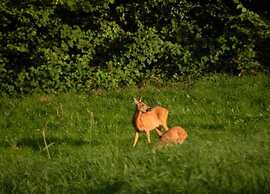 Holiday Home With Sauna in Limbourg