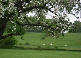 Holiday Home With Sauna in Limbourg