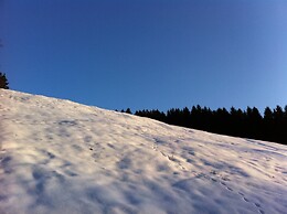 Charming Cottage With Jacuzzi Located Near Nature and ski Slopes