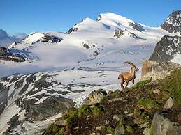 Chalet in Binntal-langtal With Garden