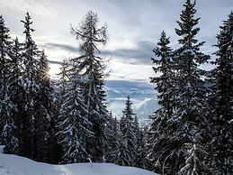 Chalet in Binntal-langtal With Garden