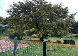 Beautiful Farmhouse in Sivry-rance With Garden