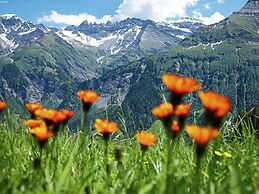 Attractive Chalet in Fiesch-wiler With Views