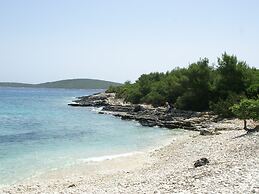 Traditional House With two Apartments