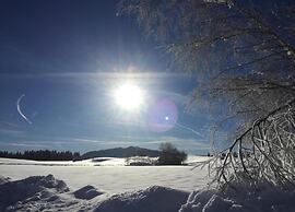 Appealing Apartment With Balcony