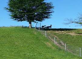Appealing Apartment With Balcony