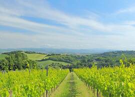 Fabulous Holiday Home With Wifi in Monte San Martino Italy