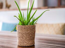 Lovely Holiday Home in Zeewolde With a Swimming Pool