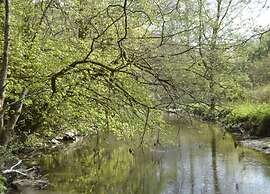 Cosy Cottage on the Outskirts of Bertrix