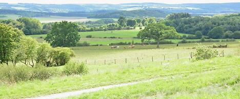 Cosy Cottage on the Outskirts of Bertrix