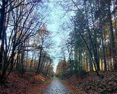 Holiday Home in Auw Near Town Center