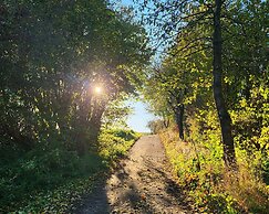Sonnige Wohnung in Bad Driburg mit Garten