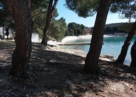 Elegant Apartment in Banjole near Fratarski Otok Island