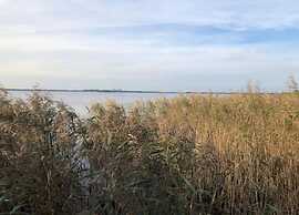 Enticing Holiday Home in Eastermar near Burgumer Mar Lake