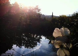 Holiday Home in Tuscany With Shared Pool