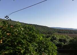 Holiday Home in Tuscany With Shared Pool