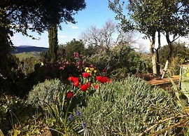 Holiday Home in Tuscany With Shared Pool