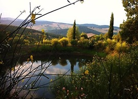 Holiday Home in Tuscany With Shared Pool