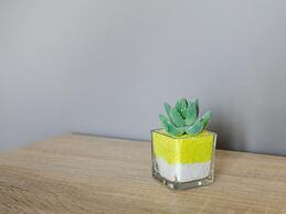 Scenic Apartment in Novalja near Trg Loža & Zrče Beach