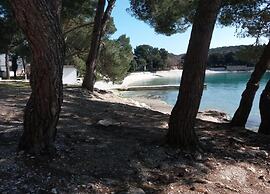 Delicate Apartment in Banjole near Beach Centinera