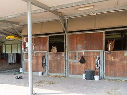 Tranquil Farmhouse in Terranova Bracciolini near Nightlife