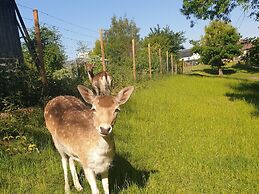 Cottage in Aywaille With Garden