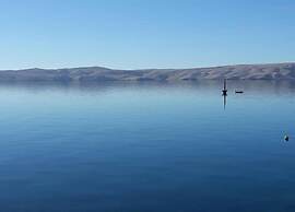 Comfortable Apartment in Novalja near Zrče Beach