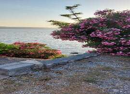 Comfortable Apartment in Novalja near Zrče Beach