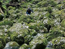 Holiday Home in Bad Mitterndorf Near ski Area