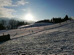 Holiday Home in Bad Mitterndorf Near ski Area