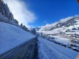 Spacious Apartment in Grossarl With Garden