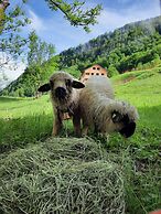 Panoramahof Bergglück