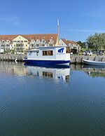 Ostseekrabbe
