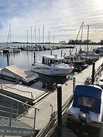 Ostseekrabbe